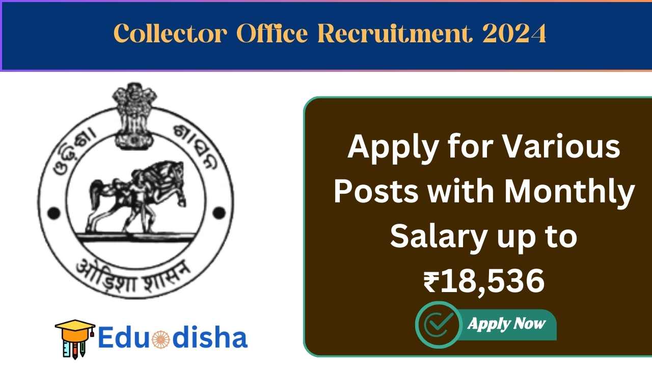 Collector Office Recruitment 2024 (1)